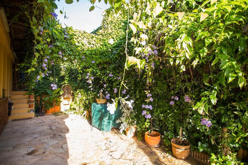 Indonesian Suites Tropical Garden Malaga 0*,